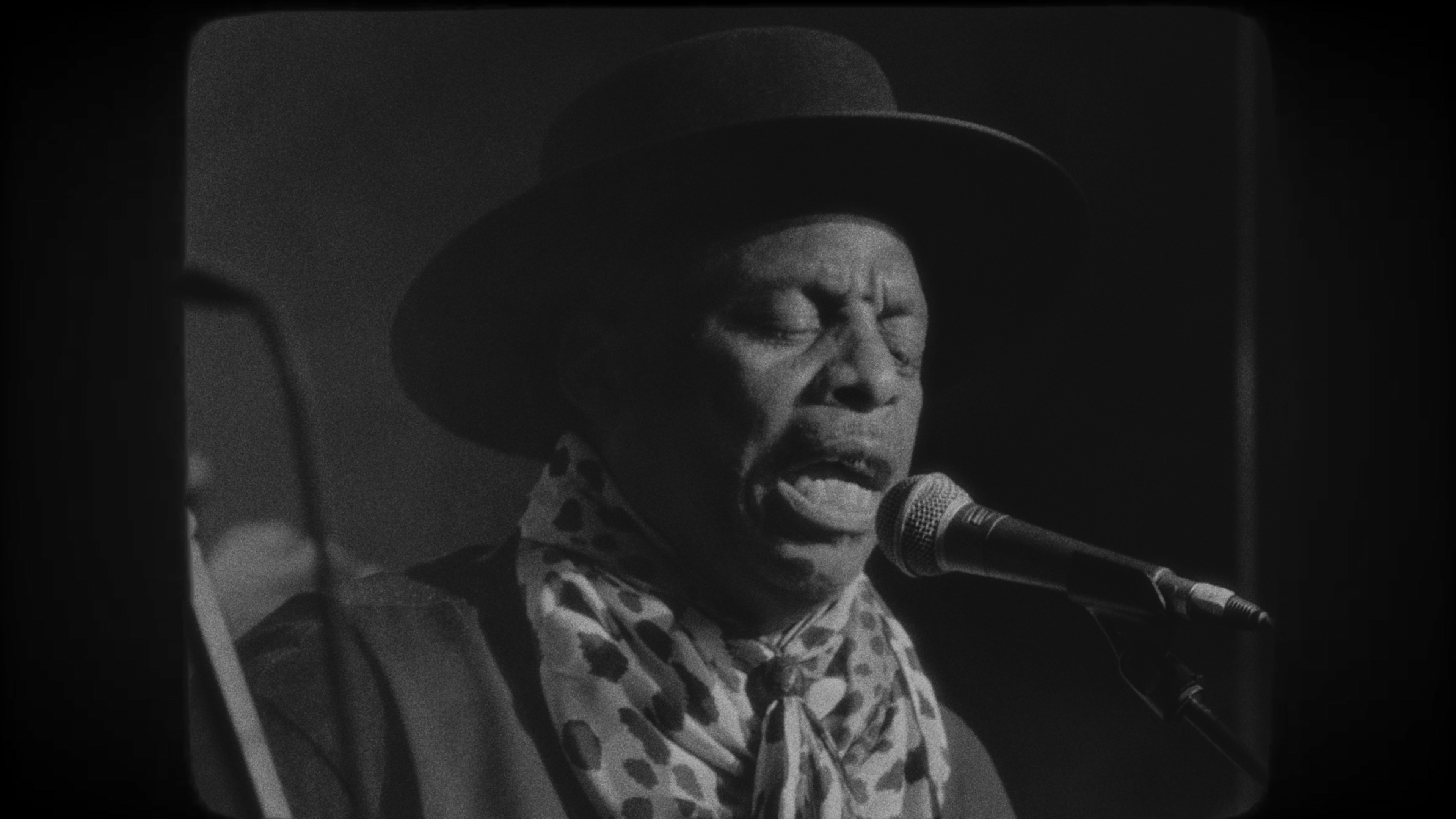 À la rencontre du blues maron — image 41, Panasonic S1, Panasonic S5, Sony Alpha 7 III