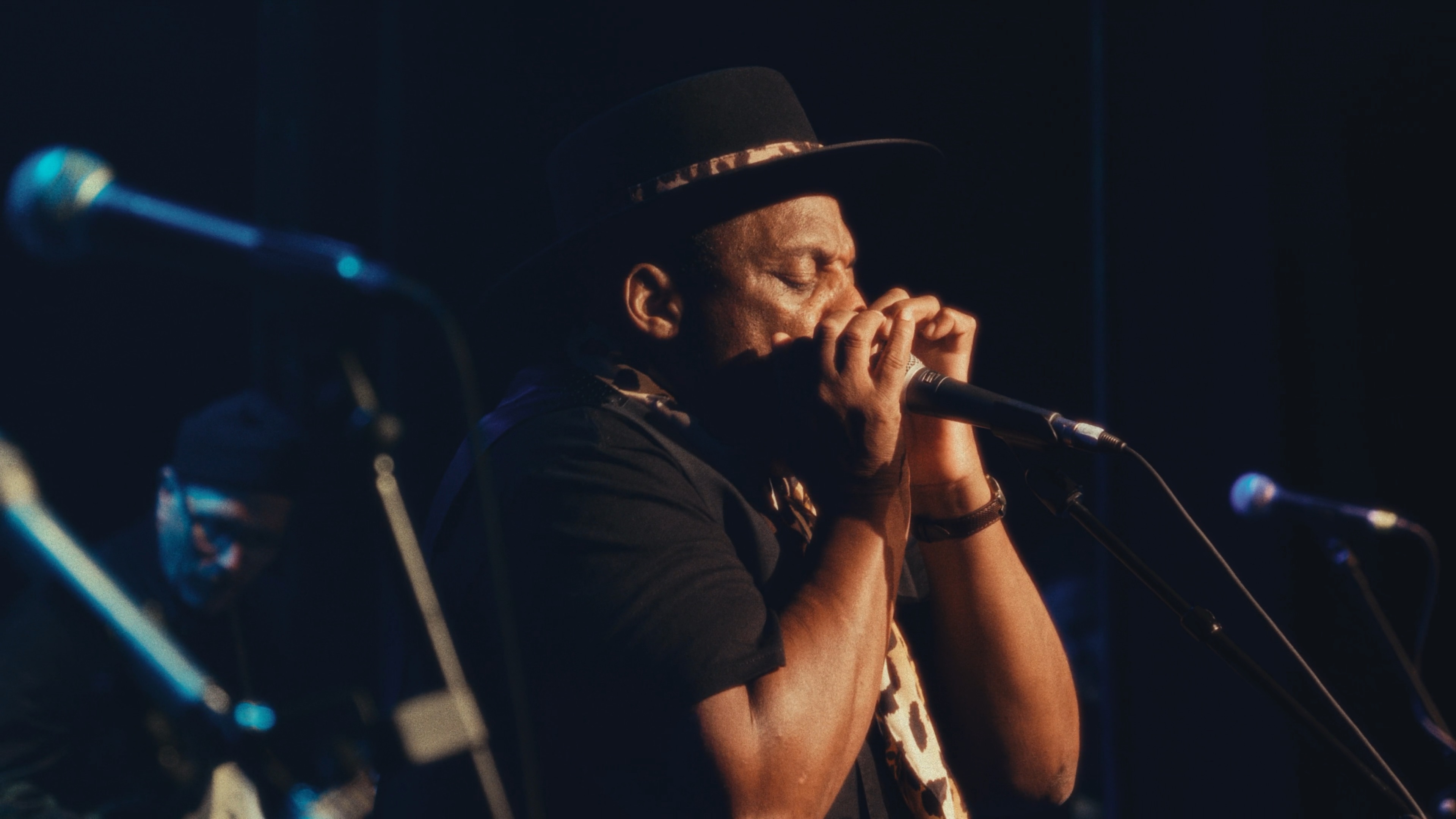À la rencontre du blues maron — image 45, Panasonic S1, Panasonic S5, Sony Alpha 7 III